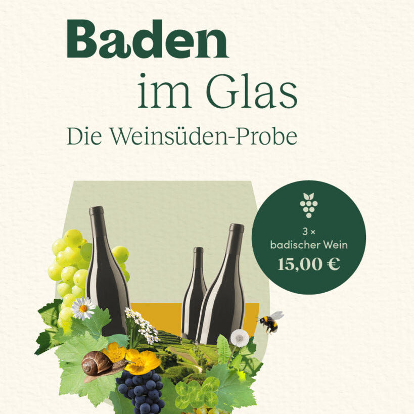 Baden im Glas – die Weinsüden-Probe