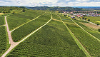 Sonnenstück