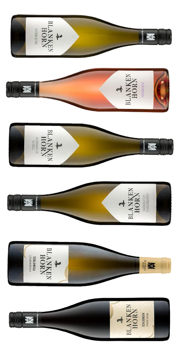Probierpaket Klassiker